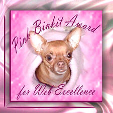 10/01 Pink Binkit Award for Web Excellence