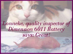 Dimension 6011 Rattery Award 4/23/02