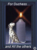 For Duchess and all others